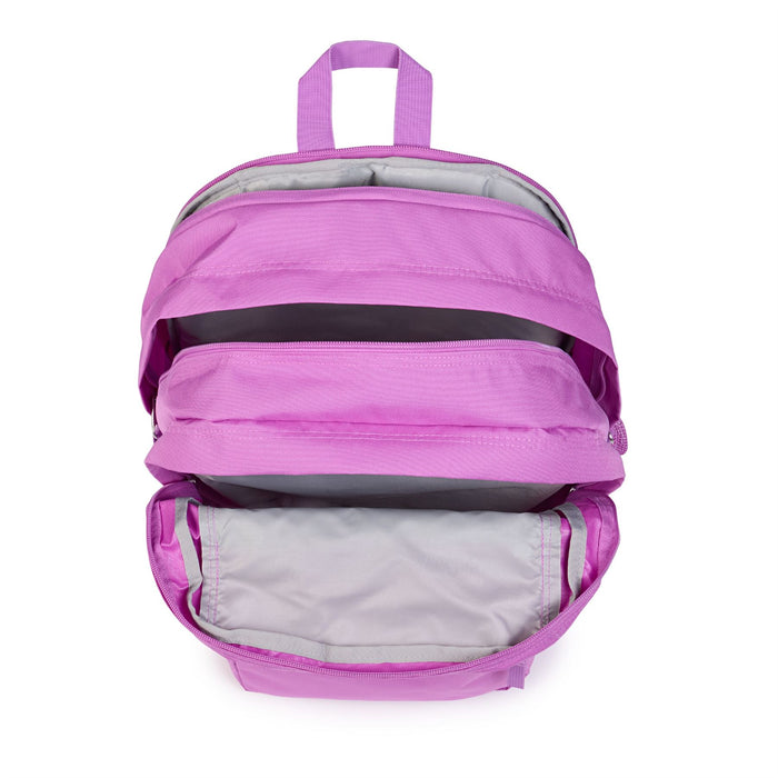 Jansport Big Student Laptop Backpack