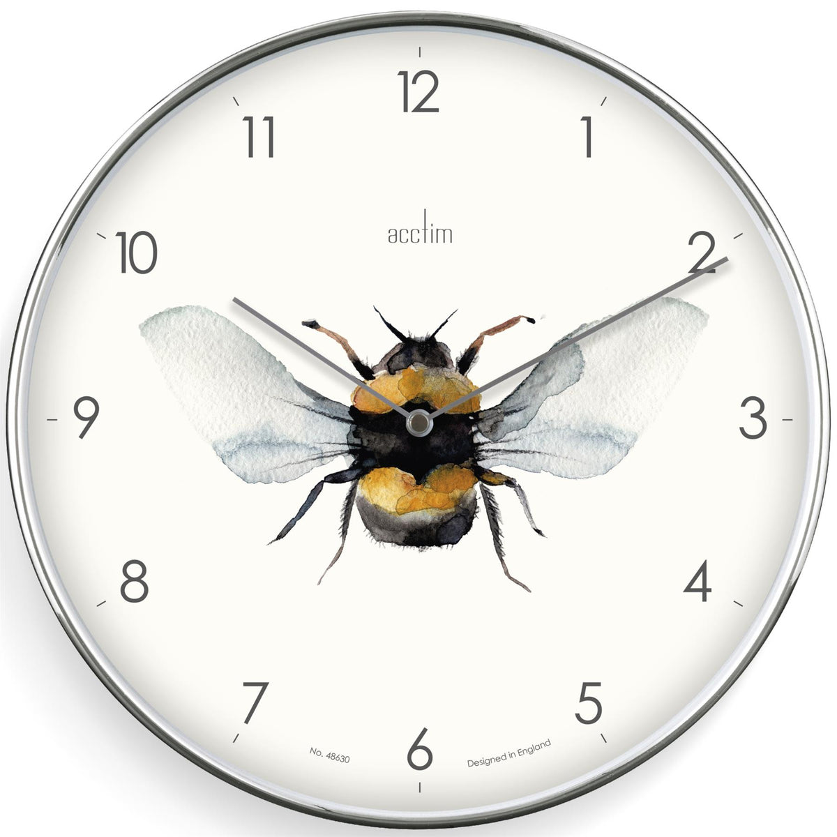 Stick Insect Clock Acctim Society Insect 30cm Wall Clock — Aspen Of Hereford Ltd