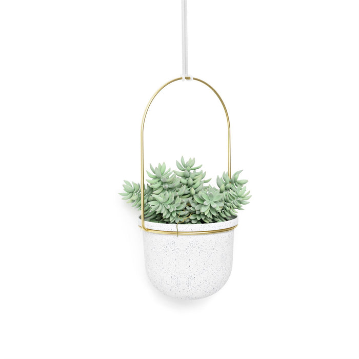 umbra triflora hanging planter Umbra Triflora Hanging Planter Set — Aspen Of Hereford Ltd