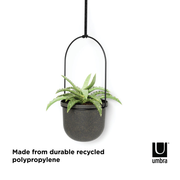 triflora hanging planter umbra Umbra Triflora Hanging Planter Set — Aspen Of Hereford Ltd