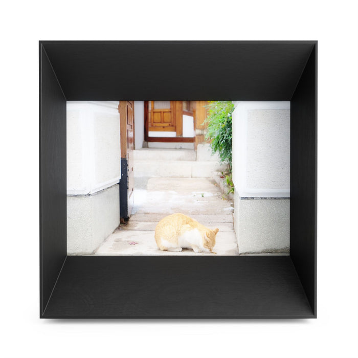 Umbra Lookout Picture Frame