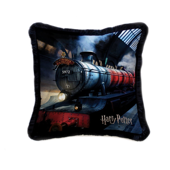 Ada Wall Harry Potter Cushion