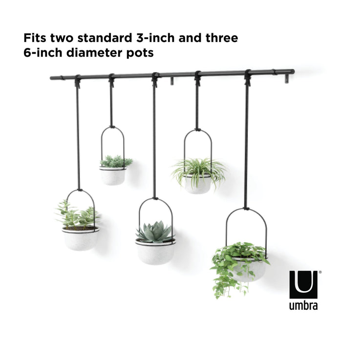 Umbra Triflora Hanging Planter Set