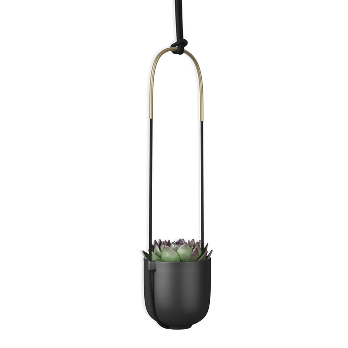 umbra bolo hanging planter white Umbra Bolo Indoor Hanging Planter — Aspen Of Hereford Ltd